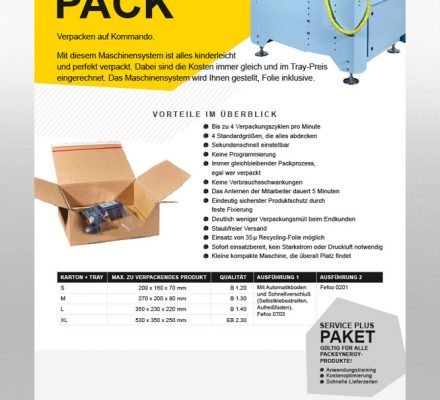 PS Flyer Buzz N Pack Flyer Thumbnail